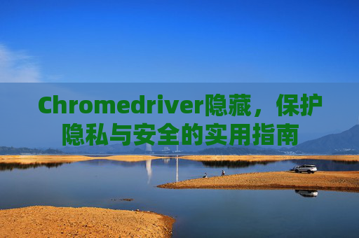Chromedriver隐藏，保护隐私与安全的实用指南