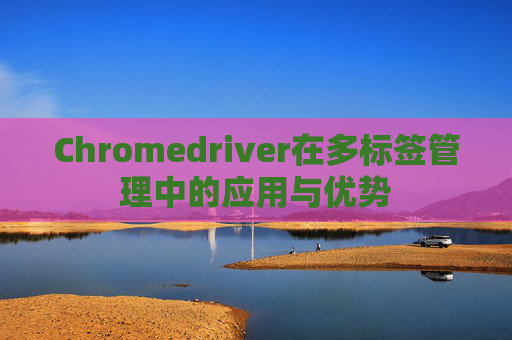 Chromedriver在多标签管理中的应用与优势
