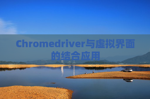 Chromedriver与虚拟界面的结合应用
